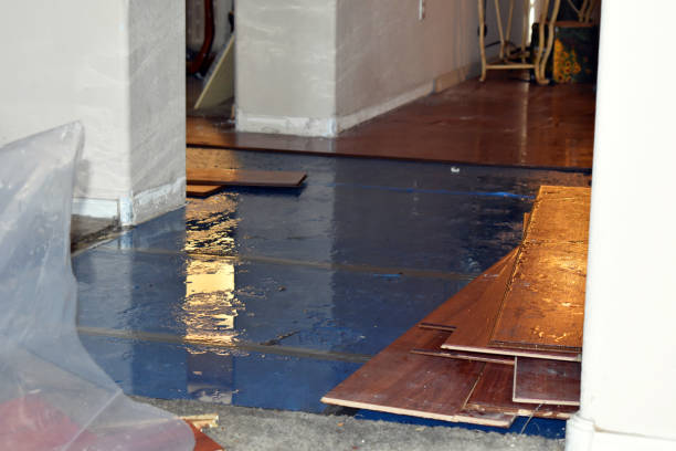 Professional Basement Flood Cleanup technician working in Belmont, MA